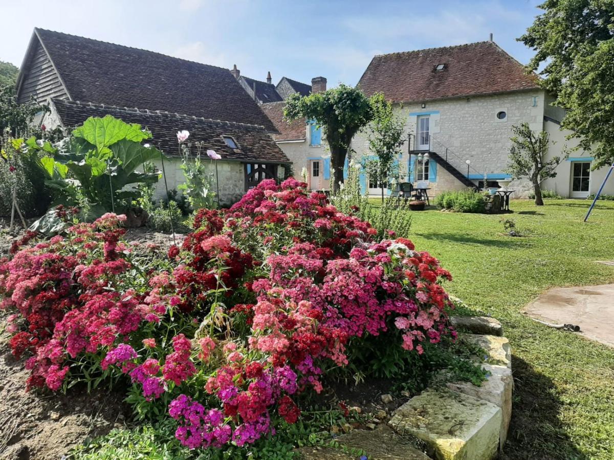 Le Moulin Bleu Bed & Breakfast Seigy Exterior foto